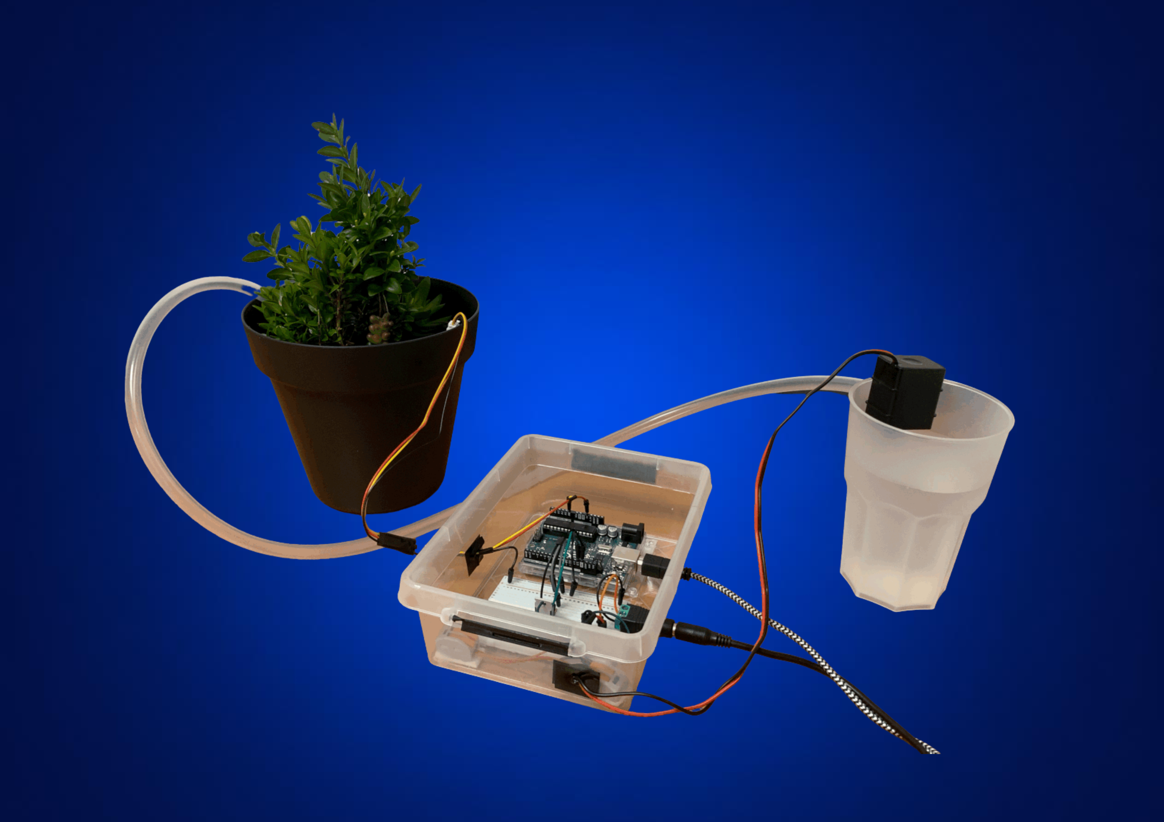 Automatic Irrigation System Image